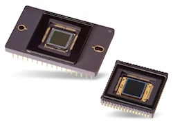 charge-coupled device (ccd) array
