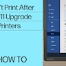 چرا پرینتر های اچ پی بعد از آپدیت کردن windows 11 کار نمی کنند؟ | HP Tamir